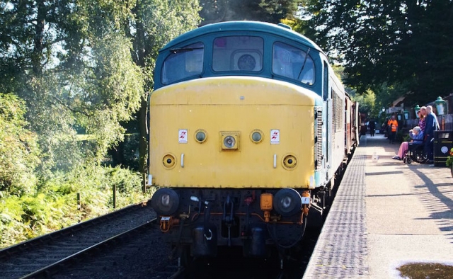 45133 LR 7 REV1