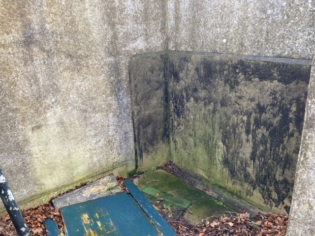 Toilet urinal